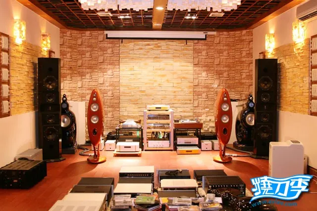 十八子视听会所 ----- Vivid K1监听系统